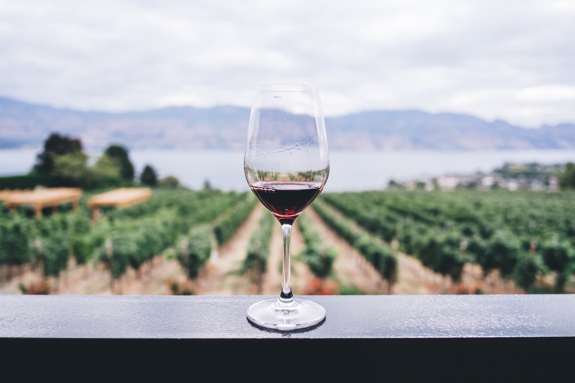 5 Things Wine Has to Do With Payments & Fraud