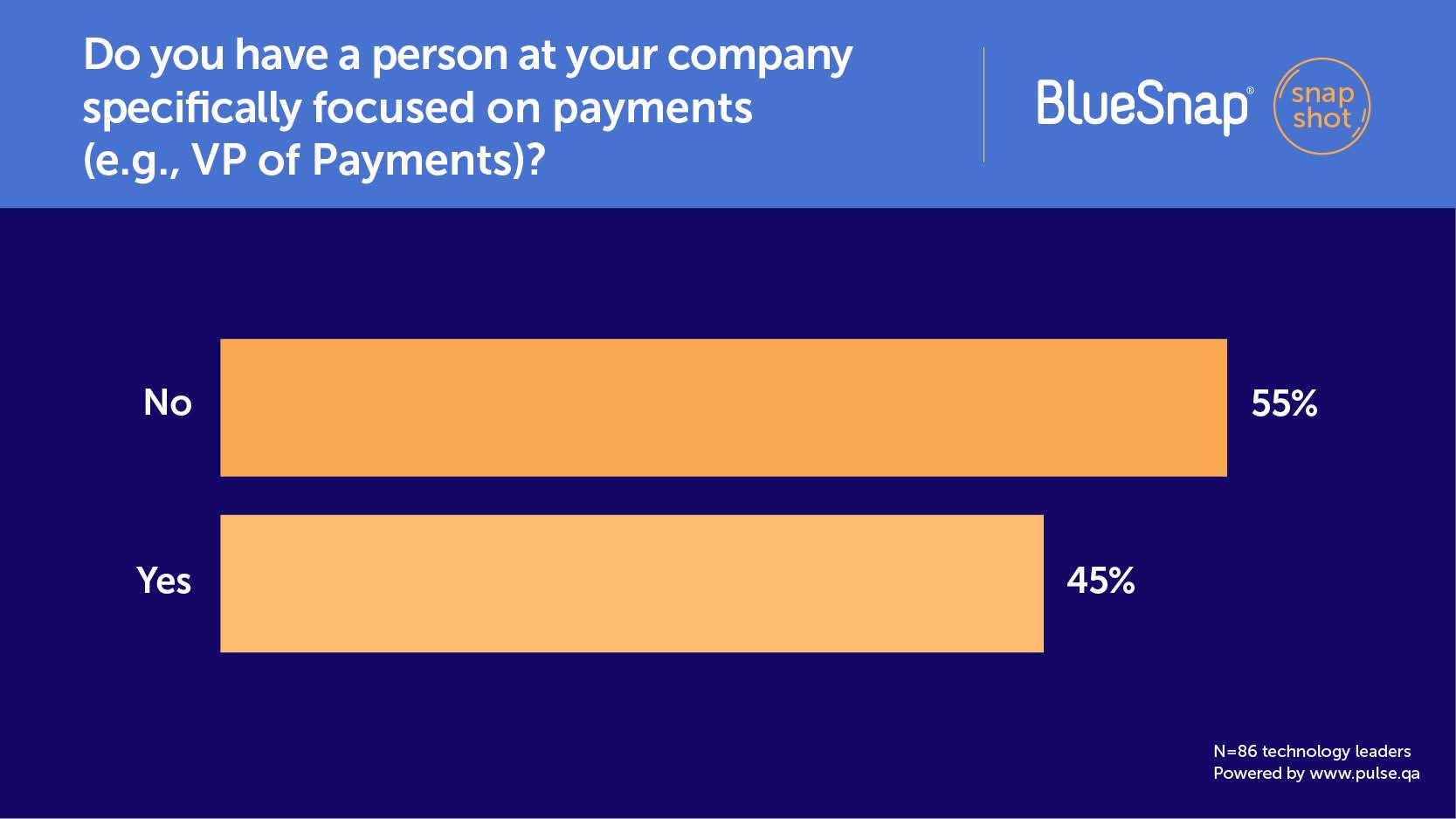 Weekly Snapshot: More Than Half of Companies Do Not Have Someone Focused Specifically on Payments