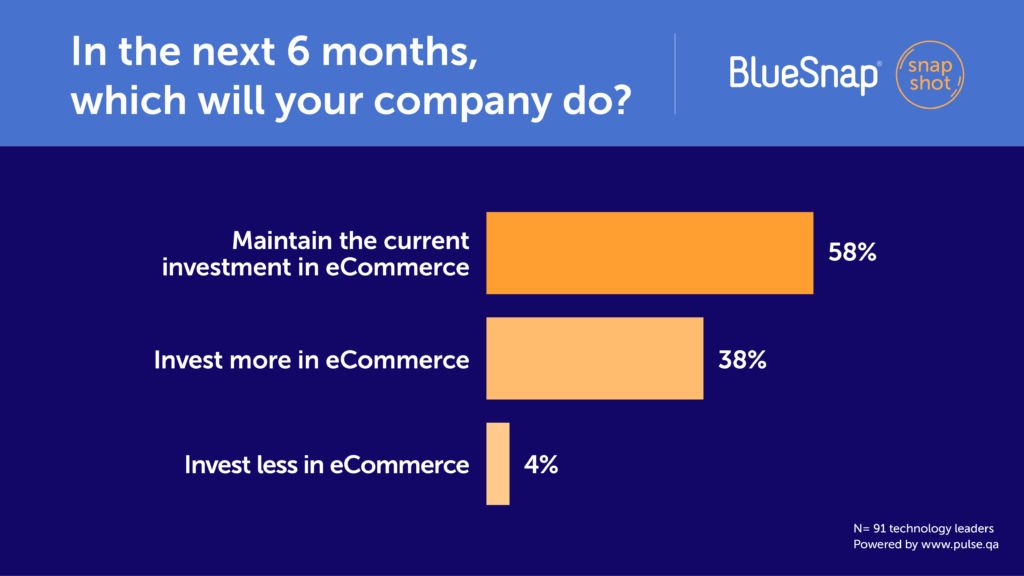 In the next 6 months, how will your company invest in eCommerce?